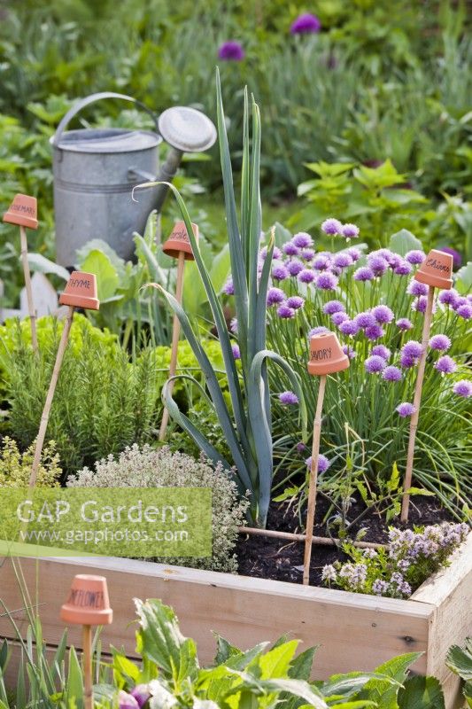 Raised herb bed with clay pot labels.