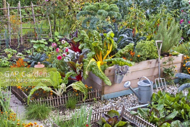 Raised bed in organic kitchen garden in October.