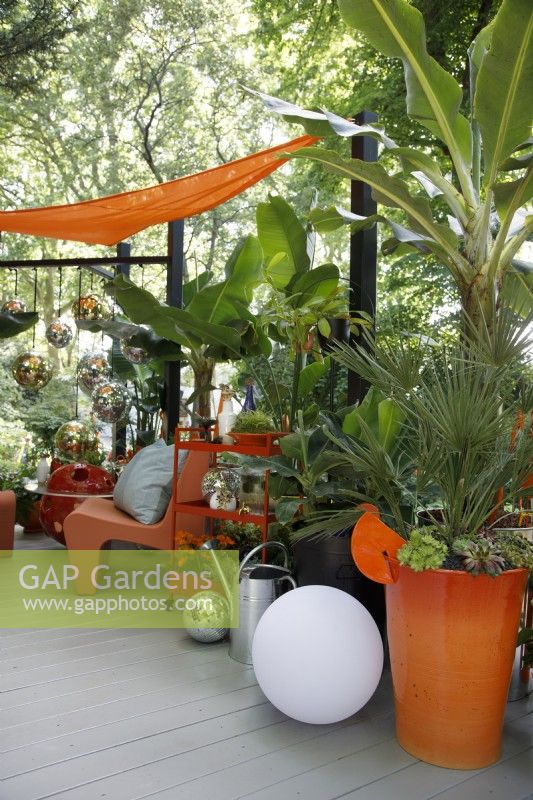 View of the seating area outside the 'Planet Studio', the planting includes Musa 'Dwarf Cavendish', Dypsis lutescens and Strelitzia nicolai; a shade sail provides shelter- Designer: James Whiting - Sponsor: Malvern Garden Buildings.