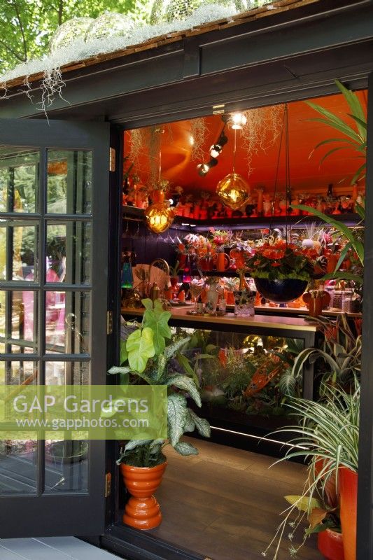 View of the bar area in the Planet
 Studio with by the door, houseplant Dieffenbachia 'Tiki' in an orange pot - Designer: James Whiting - Sponsor: Malvern Garden Buildings.