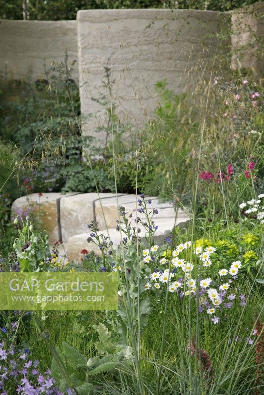 View of the meadow planting in the MInd Garden which includes Leucanthemum vulgare, Anchusa azurea 'Dropmore', Euphorbia palustris and Stipa gigantea with purbeck stone blocks creating a seating area- Designer: Andy Sturgeon - Sponsor: Project Giving Back.