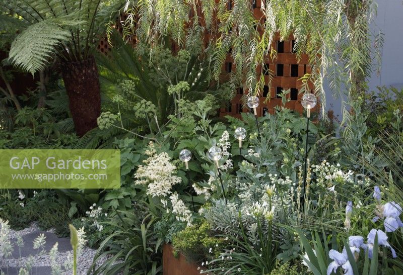 Lush tropical planting in the Out of The Shadows garden which include Angelica archangelica and Dicksonia antarctica with glass baubles lighting  - Designer and Sponsor: Kate Gould Gardens