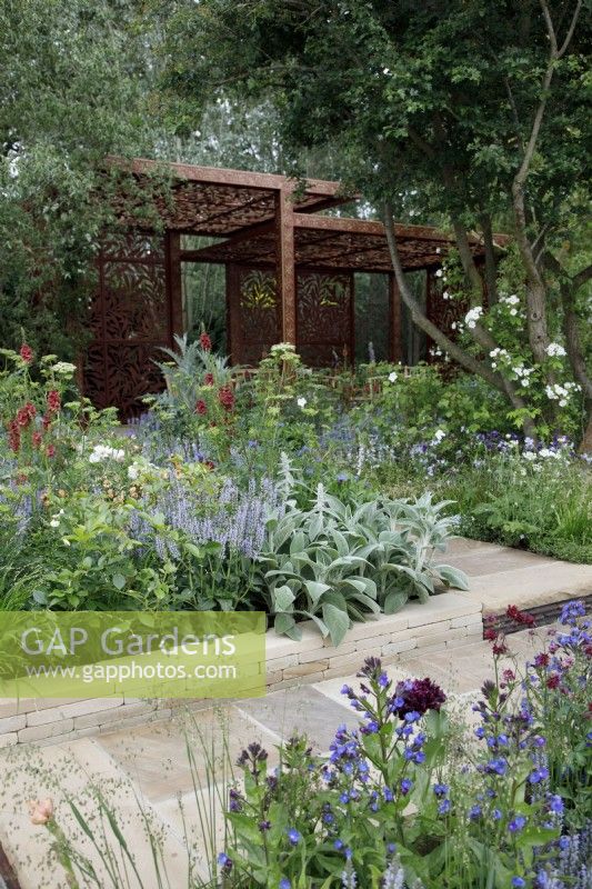 In the Morris  and  Co. Garden, the Yorshire stone paving is bordered by Stachys byzantina 'Big Ears' and Salvia nemorosa 'Crystal Blue' - Designer: Ruth Willmott - Sponsor: Morris  and  Co.