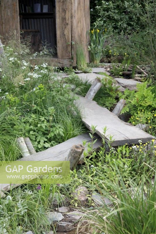 View of the reclaimed oak boardwalk in A Rewilding Britain Landscape which leads across the weatland meadow with marginal plants and native wildflowers - Designers: Lulu Urquhart and Adam Hunt - Sponsor: Project Giving Back.