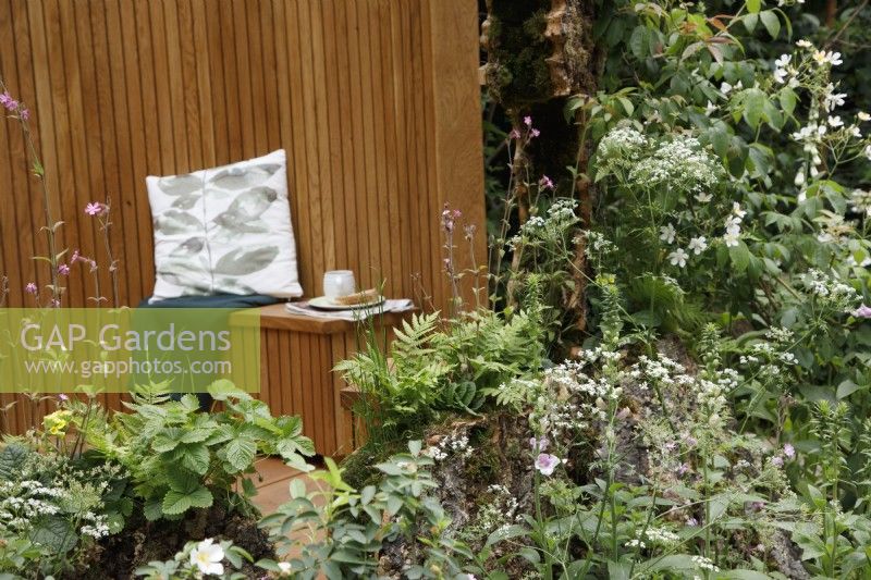 In the garden Connected, By Exante, plants are growing in the space between the cork panels of the woodand sanctuary, such as Matteuccia struthiopteris, Fragaria vesca, Silene dioica and moss - Designer: Taina Suoniu - Sponsor: Exante