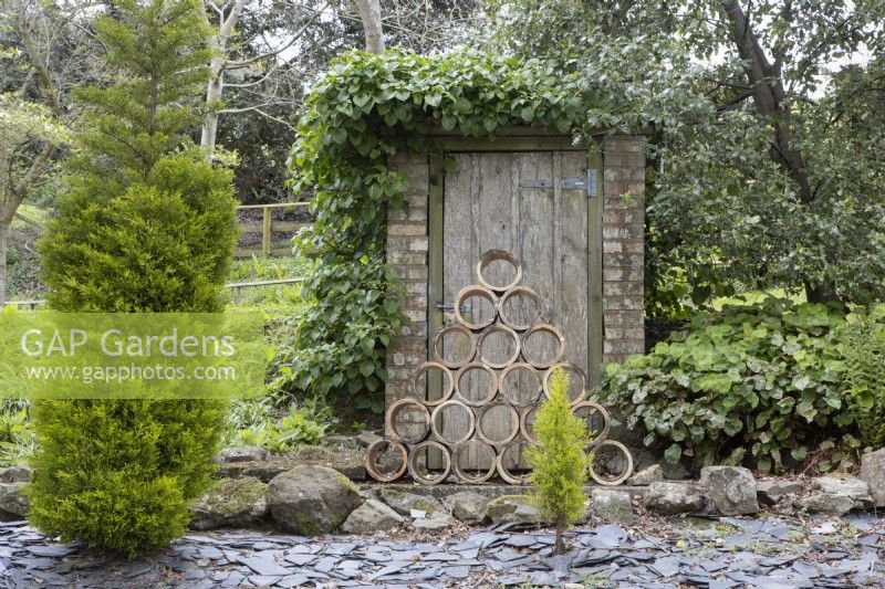 A sculpture made from old mains drain pipes is  focal point in front of an old shed. Whitstone Farm. NGS garden, Devon. Spring. 