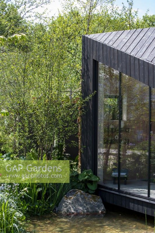 A charred larch cabin overlooks a pond surrounded by Betula nigra -  A Garden Sanctuary by Hamptons,  RHS Chelsea Flower Show 2022
