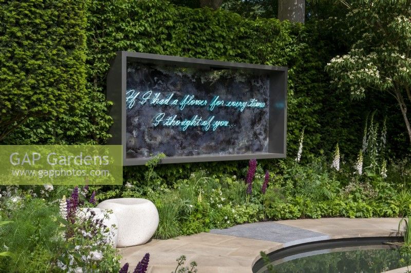 Neon sine set against a Carpinus betulus hedge, curved border with Lupinus 'Masterpiece' and Digitalis purpurea f. albiflora - The Perennial Garden 'With Love', RHS Chelsea Flower Show 2022