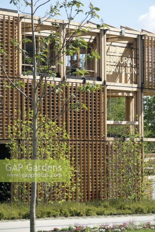 The natural pavilion that shows the future of housing construction with sustainability and circularity as the key elements. Biobased.