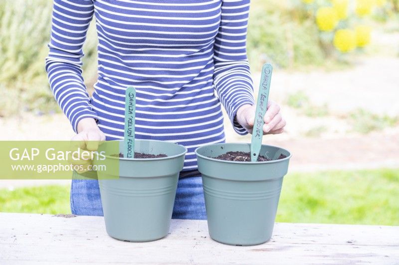 Woman placing labels in pots