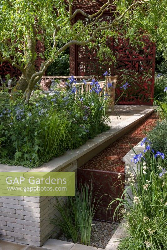 Salix x sepulcralis 'Erythroflexuosa' overhangs a water rill and bed with Iris sibirica 'Papillon', framing a view to a seating area with cane furniture under a laser cut pavilion - Morris  and  Co, RHS Chelsea Flower Show 2022 - Gold Medal