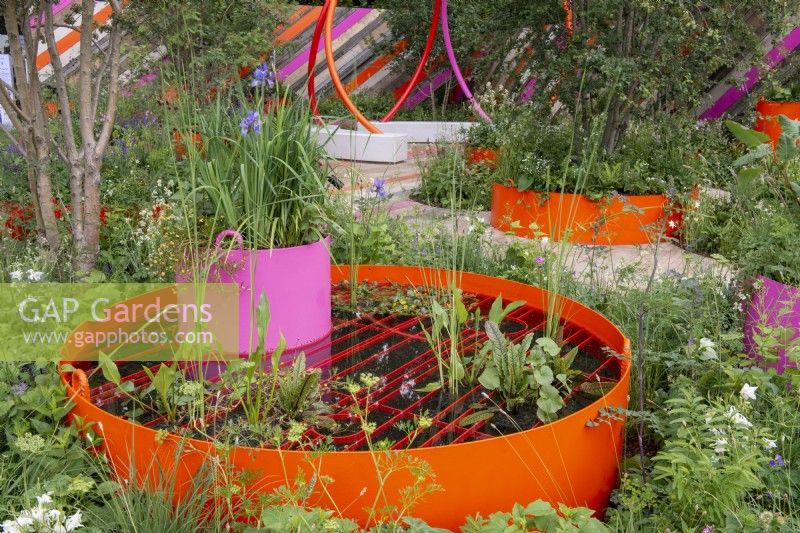 Orange metal raised ponds with water plants, pink inset container with Iris sibirica - The St Mungo's Putting Down Roots Garden, RHS Chelsea Flower Show 2022 - Silver Medal