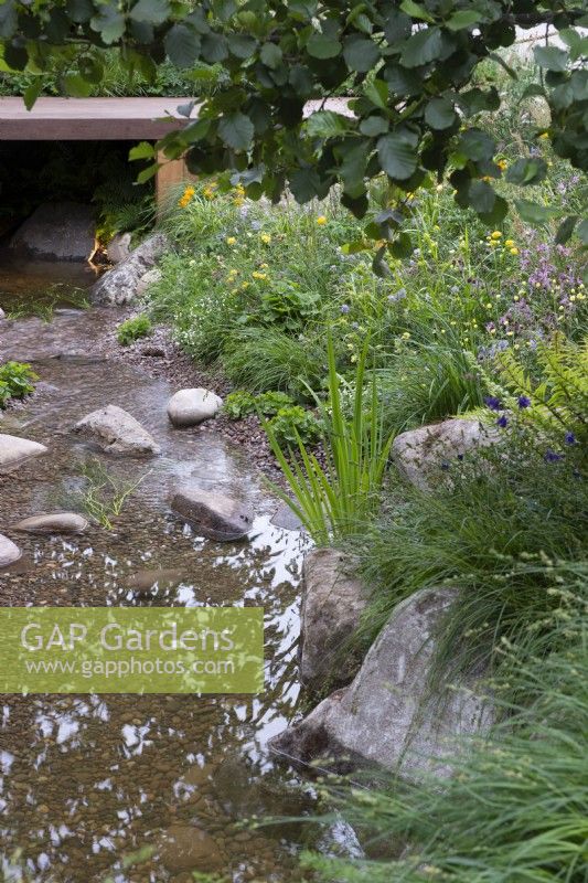Stream with natural planting and stone boulders - The Meta Garden, RHS Chelsea Flower Show 2022 - Gold Medal