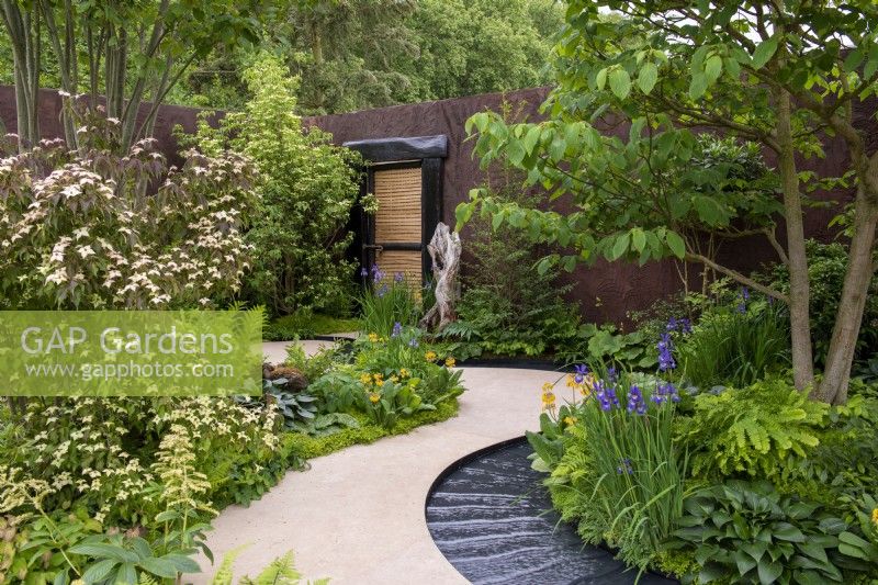 Water rill winding around planting of Iris sibirica, Primula, ferns and hostas, flowering Cornus kousa 'Cappuccino' - The Boodles Travel Garden, RHS Chelsea Flower Show 2022 - Gold Medal