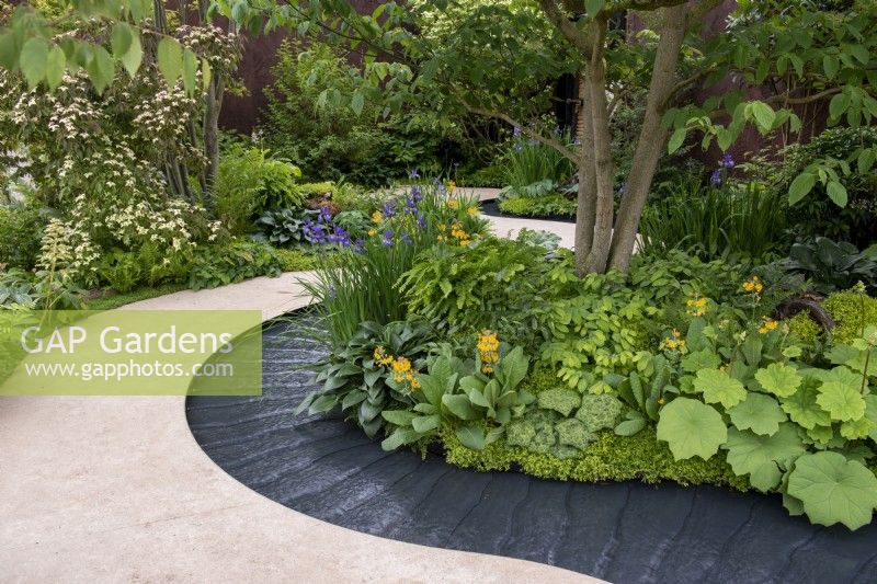Lush green textural planting with Iris sibirica and Primula, next to a winding water rill - The Boodles Travel Garden, RHS Chelsea Flower Show 2022 - Gold Medal