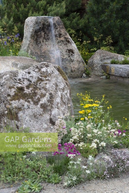 Stone boulder water feature with alpine planting - A Swiss Sanctuary, RHS Chelsea Flower Show 2022