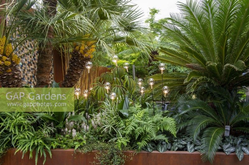 Lush tropical planting in a corten steel raised bed with globe lights, plants include Cycas revoluta, Chamerops humilis, Tiarella, Pteris nipponica and Pteris umbrosa,   Out of the Shadows, RHS Chelsea Flower Show 2022