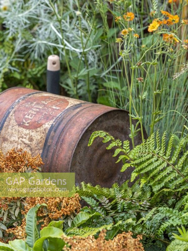 ReThink garden featuring reused items such as cans with vibrant greens and oranges in the planting
