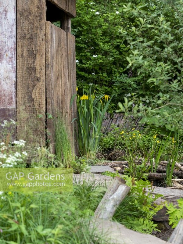 Pathway of wood with wooden shed in RHS Show Garden A Rewilding Britain Landscape.