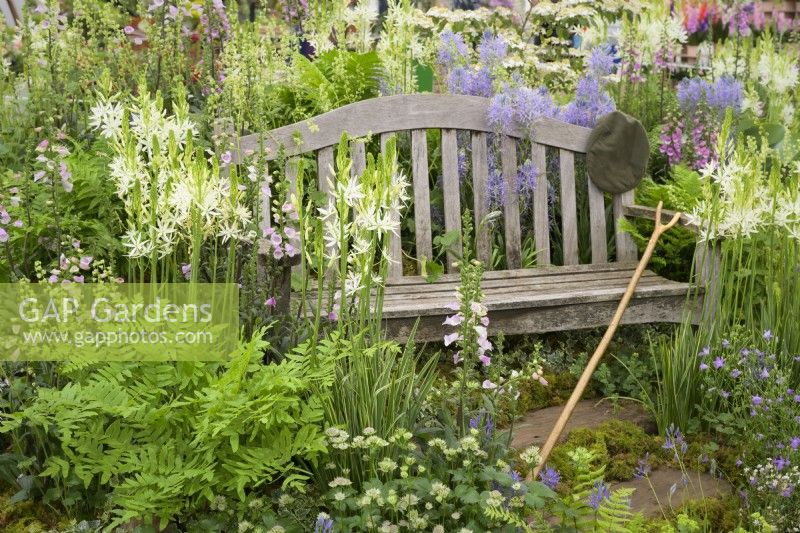 Wooden bench surrounded by perennials including white Camassia at trade stand
