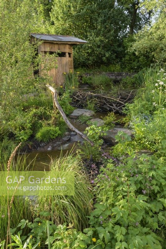 Natural wetland meadow with native plants and stone path along stream leading to wooden hut
- A rewilding Britain Landscape 