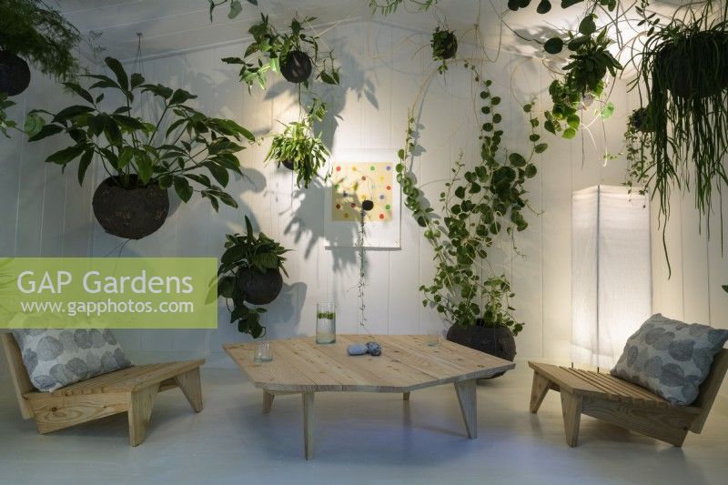 Aerial indoor garden in a white room with rectangular  modern wooden  table and chair - A Room To Dance Studio