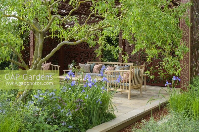 Sitting arrangement in pavilion  of metal screens  with  Morris' Willow Boughs pattern also on cushions, surrounded by herbaceous beds with blue Iris siberica sp and  Salix matsudana tortuosa tree, dragon's claw willow  