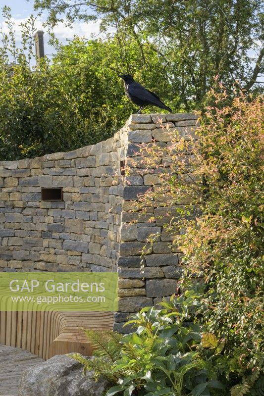 Crow sitting on stone spiral wall with in-built wooden bench - The RAF Benevolent Fund Garden -