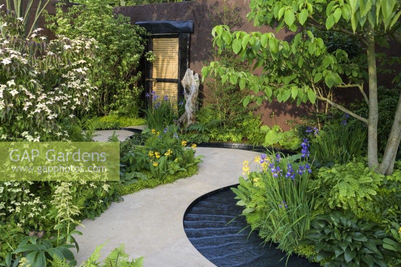 Curved path leading to doorway and rill around  bed planted with Cornus kousa var. chinensis above shade-loving hostas, primulas, irises and disporum - The Boodles Travel Garden