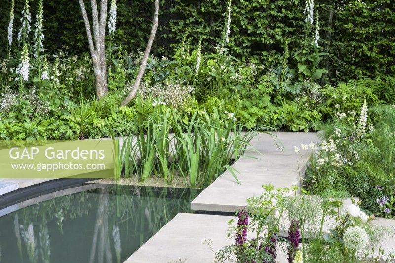 Semi-circular pond surrounded by stone paving and green and white herbaceous planting - The Perennial Garden With Love