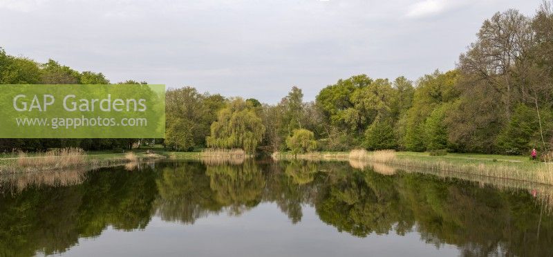 Dessau Saxony Anhalt Germany 
Dessau-Woerlitzer Gartenreich garden realm. A UNESCO World Heritage site. Spring greens reflected in a lake in Georgium park. Stitched panorama. 