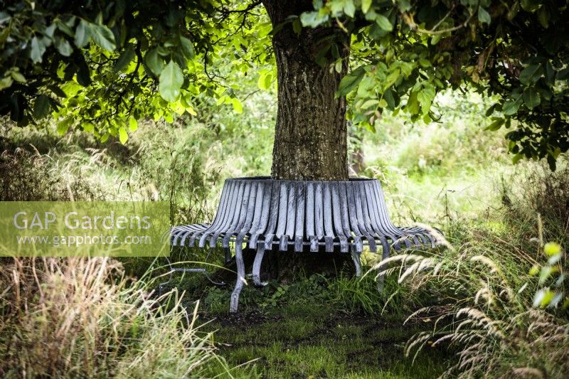 A wrought iron tree-bench in situ around the base of a Juglans regia or English walnut tree, in a meadow. Designed and made  by artist blacksmith Paul Elliot for a private garden.