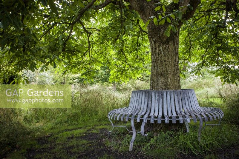 A wrought iron tree-bench in situ around the base of a Juglans regia or English walnut tree, in a meadow. Designed and made  by artist blacksmith Paul Elliot for a private garden.