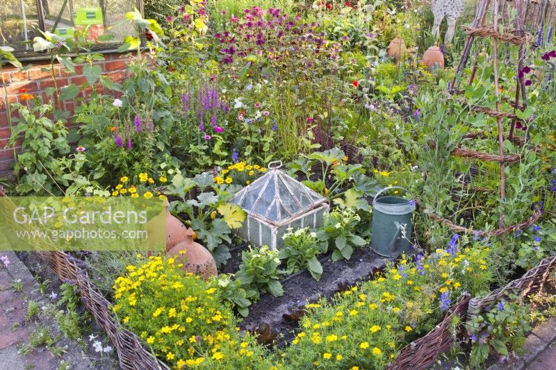 Small kitchen garden with vegetables and beneficial flowers for healthy organic garden.