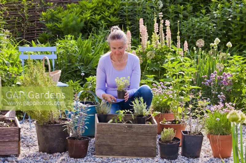 Woman creating a herb container.