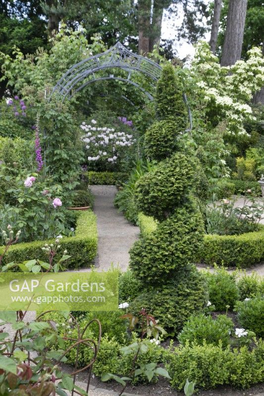 Box Garden with spiral yew leading to West Pergola at Hamilton House garden in May 