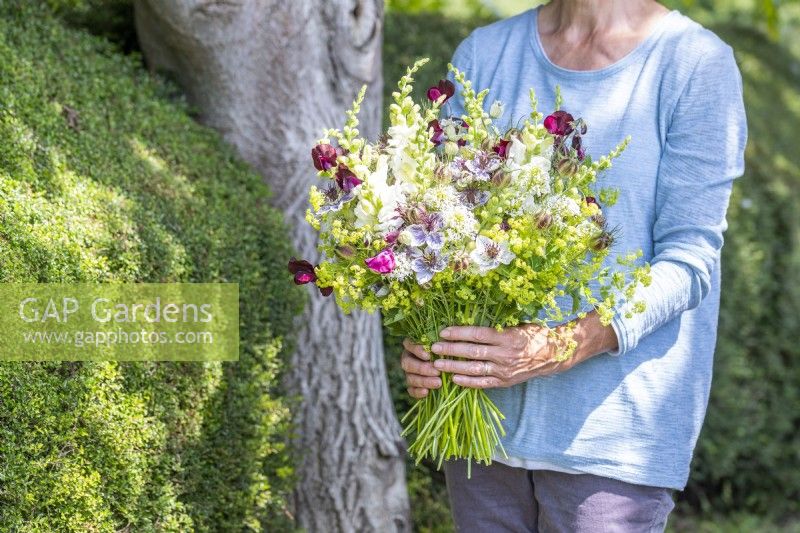 Woman holding a bouquet containing Antirrhinum 'White Admiral', Centranthus ruber - White valerian, Nigella hispanica, Nigella seed pods, Alchemilla mollis and Lathyrus 'Beaujolais' - Sweet Peas