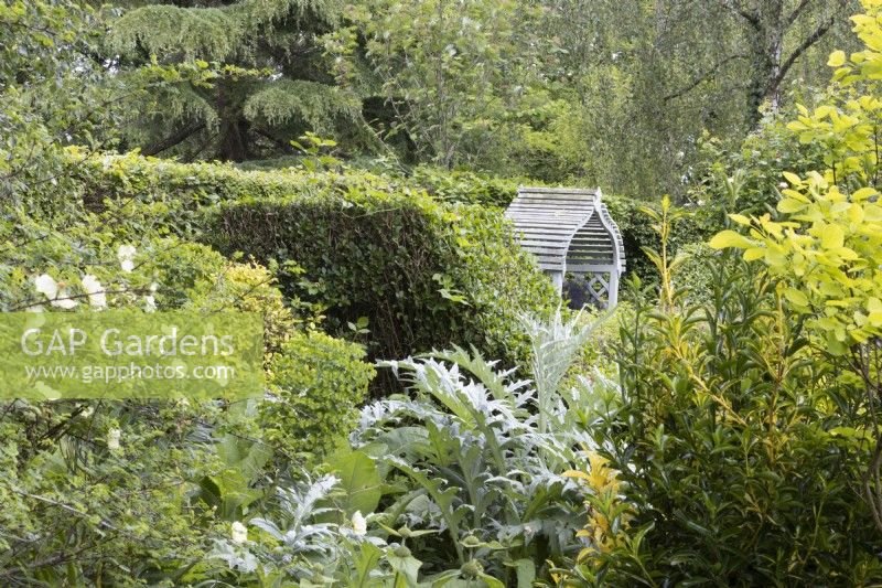 A view through foliage and cottage garden planting to a wooden garden arbour. Lewis Cottage, NGS Devon garden. Spring.