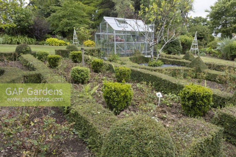 A greenhouse sits amidst a knot garden. Lewis Cottage, NGS Devon garden. Spring.
