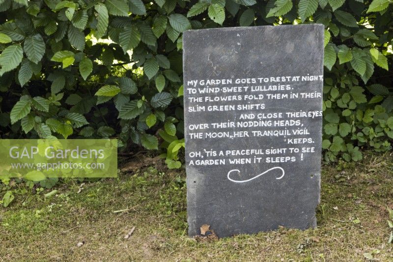 A recycled slate has a gardening quote written on it and displayed beside a beech hedge. Lewis Cottage, NGS Devon garden. Spring
