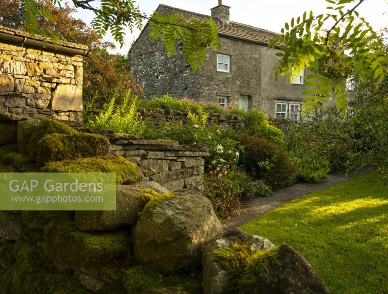The view over a stone wall to herbaceous borders in the cottage garden at the White House in Countersett, Yorkshire