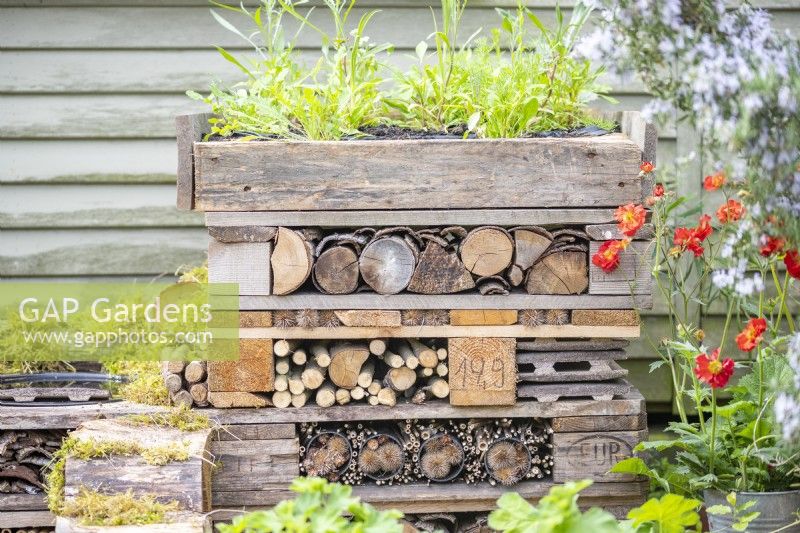 Bug hotel with a bed of wildflowers