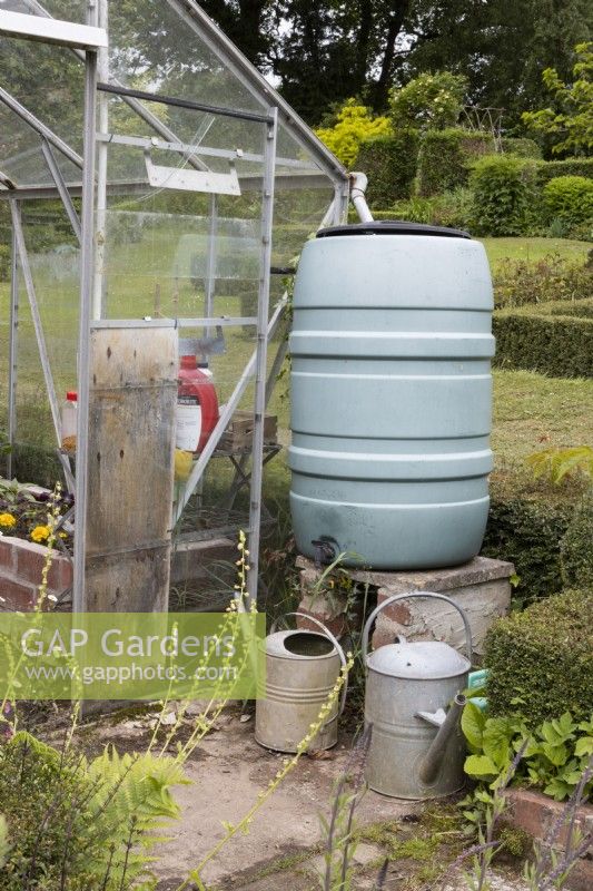 A water butt with two metal watering cans sit beside a greenhouse. Lewis Cottage, NGS Devon garden. Spring.