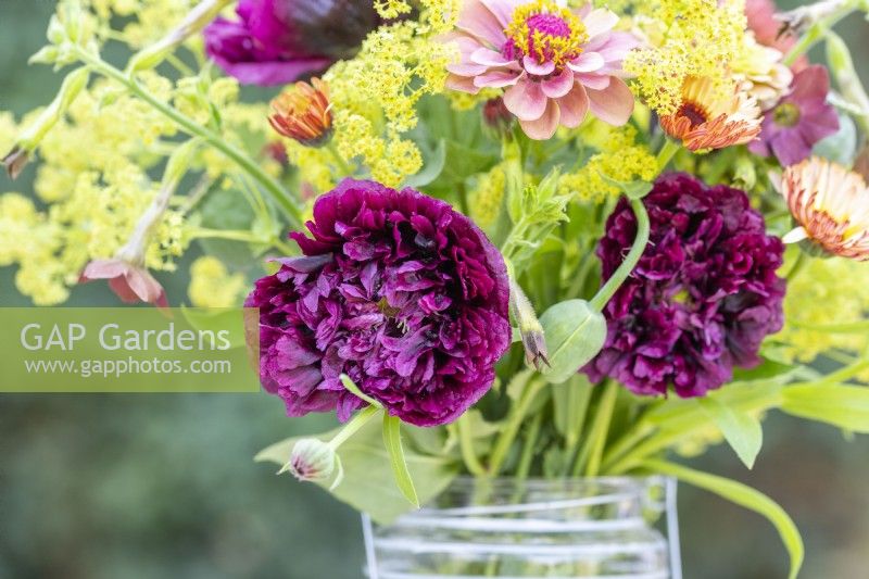 Bouquet containing Calendula 'Sherbet Fizz', Papaver paeoniflorum 'Black Peony', Poppy Seed pods, Nicotiana 'Bronze Queen', Alchemilla mollis and Zinnia 'Queen Red Lime'