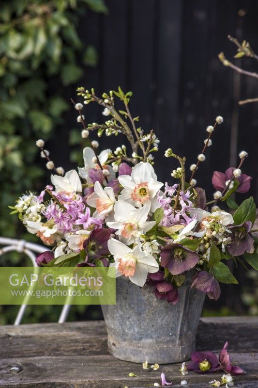 Spring floral arrangement in zinc bucket on rustic table.  Flowers - blossom, Salix, dark red Helleborus orientale and white and pink Narcissus