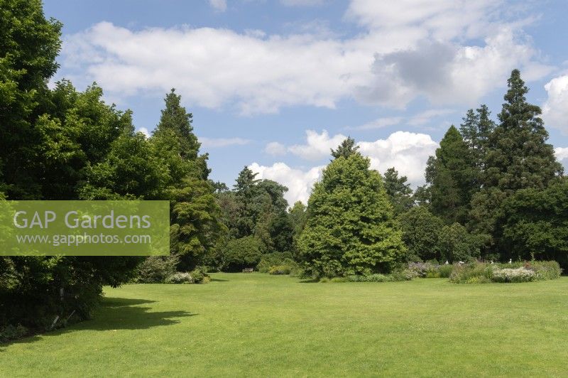 General View Arboretum Kalmthout, Provincie Antwerpen, Belgium. 
