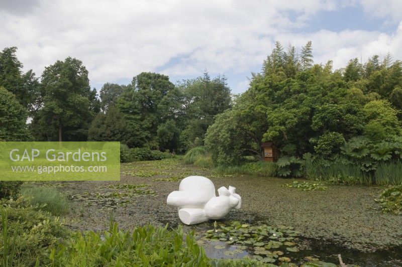 General View Arboretum Kalmthout, Provincie Antwerpen, Belgium. View over pond with sculpture.