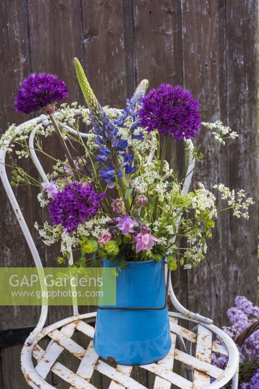 Lupin and Alliums arranged with cow parsley and Aquilegia vulgaris in blue enamel jug on chair 