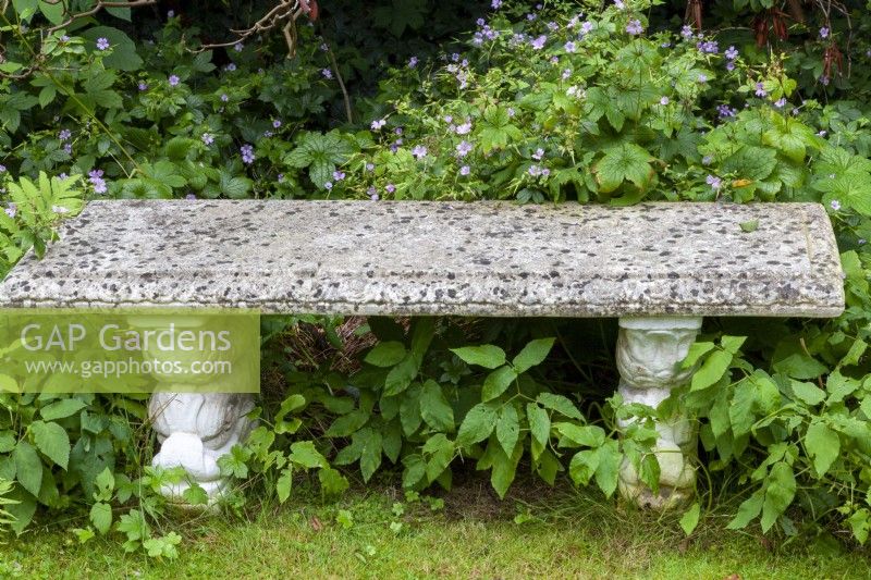 Stone garden bench and Geranium macrorrhizum