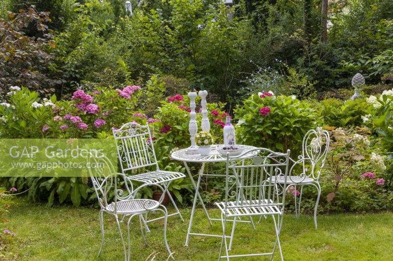 Seating area at the hydrangea bed with garden hydrangeas, crested lilies, Hydrangea quercifolia 'Snowflake'. Lifestyle furniture metal painted white table chairs lawn.
